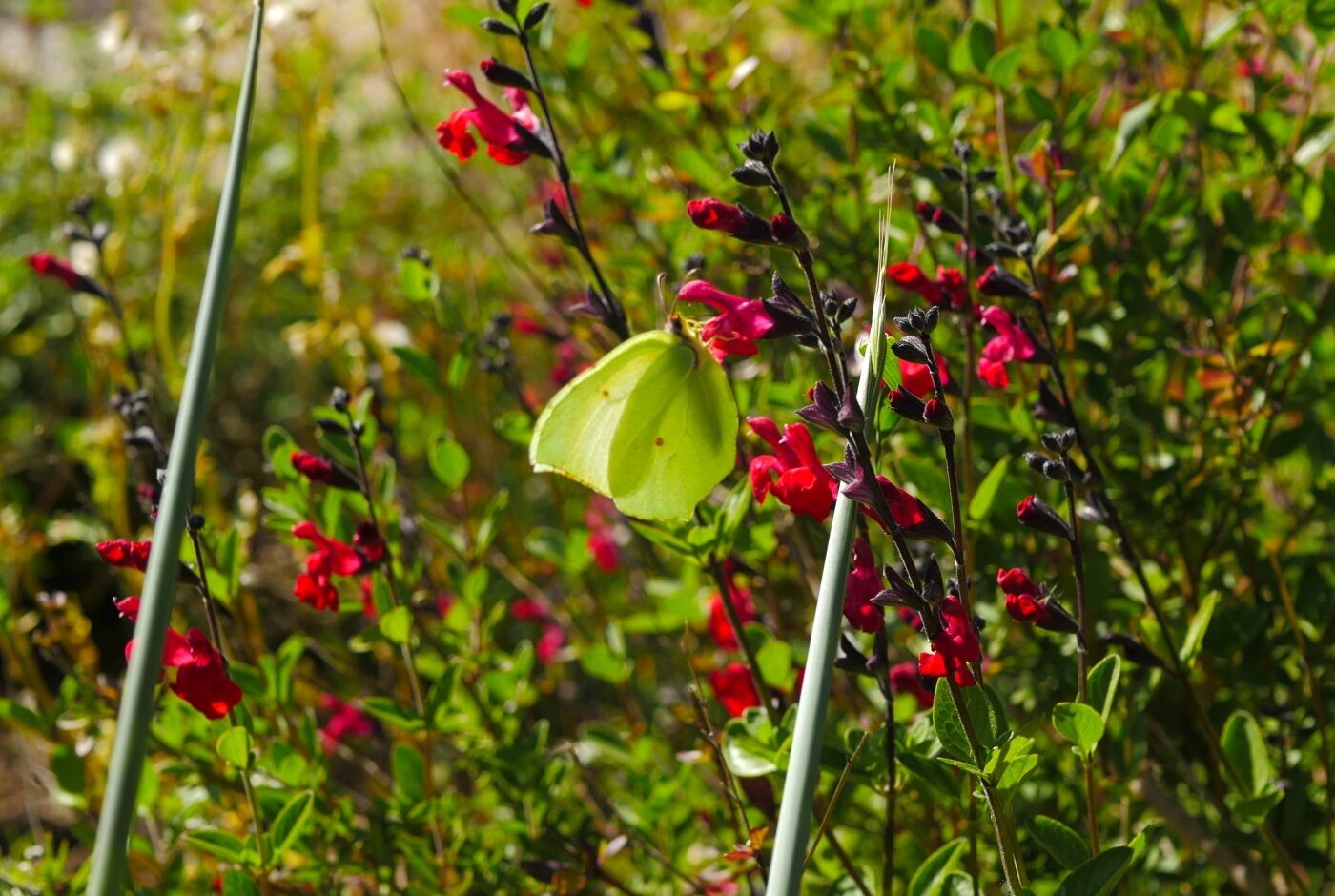 aven_orgnac_nature_ardeche.jpg